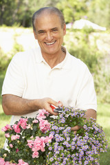 Senior Man Gardening