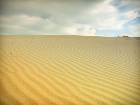 Sand dunes in Thar desert