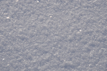 Obraz premium winter in the garden