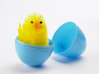 Easter Chick Hatching Out Of Egg