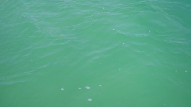 Mer calme, eau turquoise - Vidéo HD