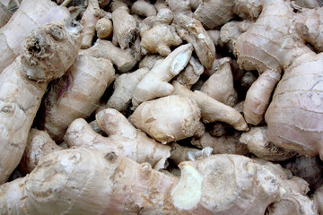 racines de gingembre