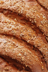 Bread with sesame
