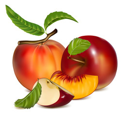 Vector. Red apples and ripe peaches.