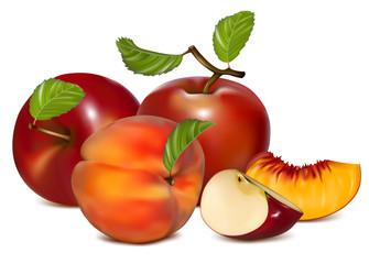 Vector illustration. Red apples and ripe peaches.