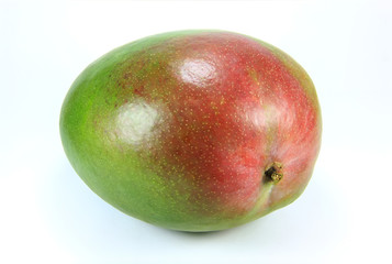 Mangue