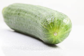 Salatgurke