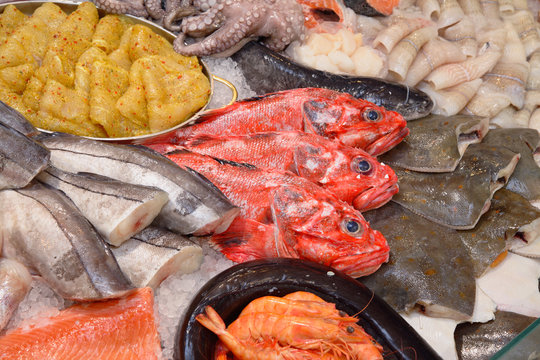 Frischer Fisch