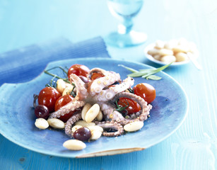 tintenfisch kalamaris oktopus