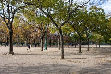 autumn park