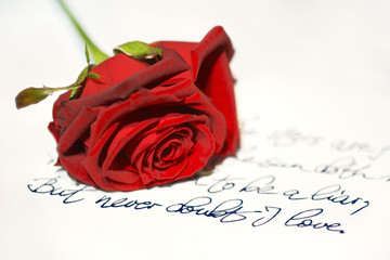 red rose and love poem