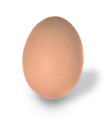 Brown egg isolated on white background