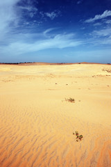 dunes sénégal