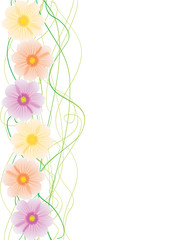 cosmos flower vector  image with green curves