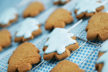 Ginger bread trees