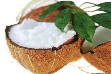 coconut and leaves