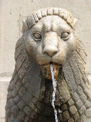 Lion in Budapest