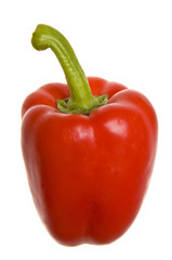 fresh red  paprika isolated on white background