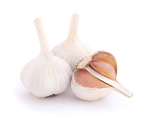 Garlic