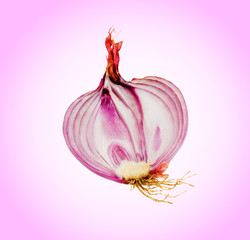 Onion half isolated on pnk background