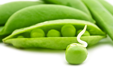 green pea on white background