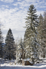 landschaft in bayern