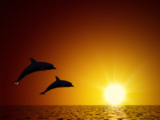 Deux dauphins nageant dans l& 39 océan