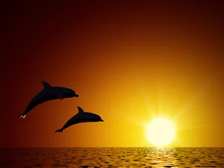 Rideaux tamisants Dauphins Deux dauphins nageant dans l& 39 océan