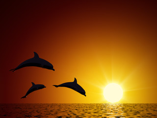 Drie dolfijnen zwemmen in de oceaan