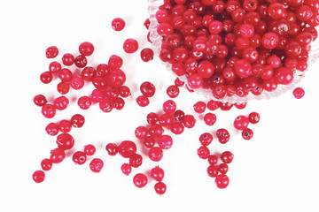 Cranberry
