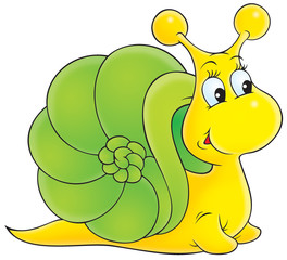 Snail