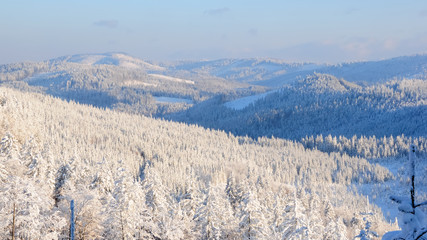 Verschneite Waelder no.12