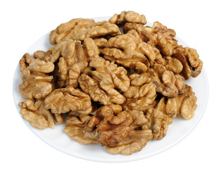 walnut (Juglans regia)