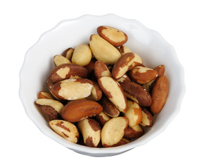 Brazil nut (Bertholletia excelsa)
