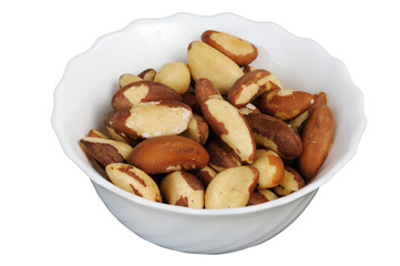 Brazil nut (Bertholletia excelsa)