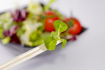 ensalada variada de colores