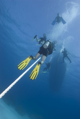 Scuba divers ascending