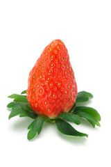 Red juicy strawberry