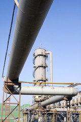 plant piping