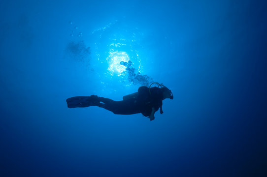 Plongeuse dans le bleu, mer Rouge, Soudan