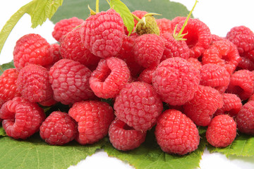 Fresh raspberries