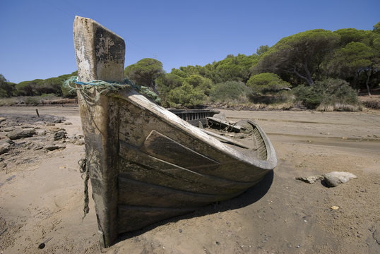 BARCA VARADA 5