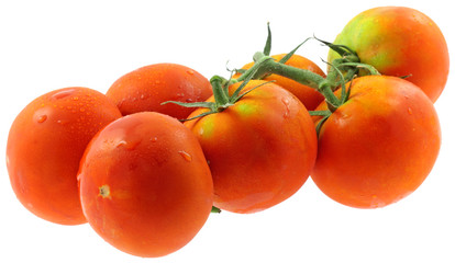 tomates mûres fond blanc