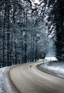 Forest Road in winter - right to turn left