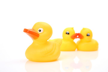 Yellow ducks