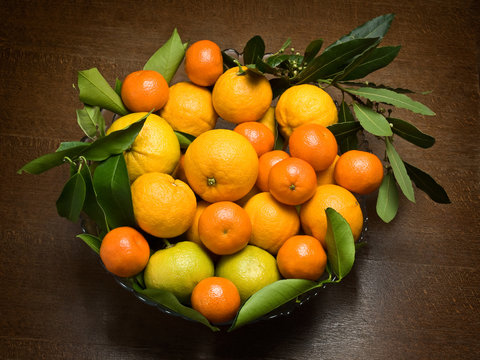 oranges and mandarines