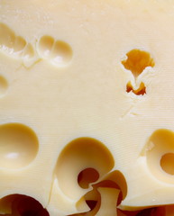 emmental cheese closeup