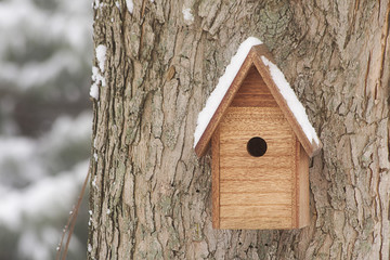 Snowy Birdhouse