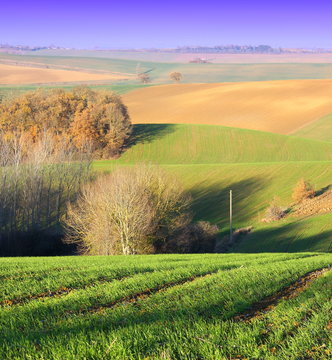Les couleurs de l'automne