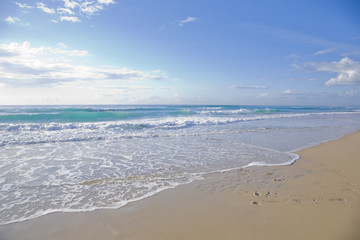 sunny day at the beach